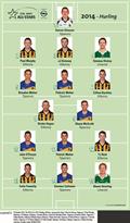 2014 Hurling Team of the Year Click for full size image