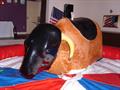 Bucking Bronco Click for full size image